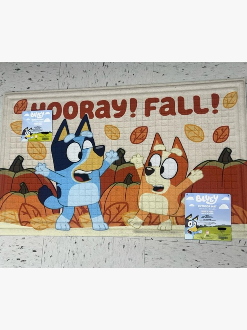 Bluey "Hooray! Fall!" Outdoor Mat